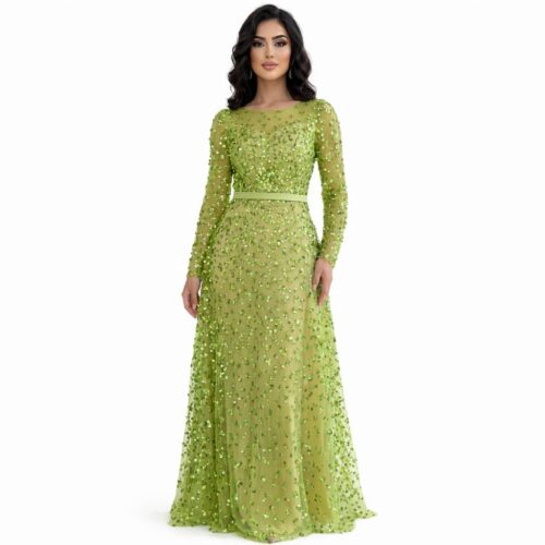 WhatsApp Image 2025-12-17 at 02.20.25 Robe longue élégante de couleur vert olive clair