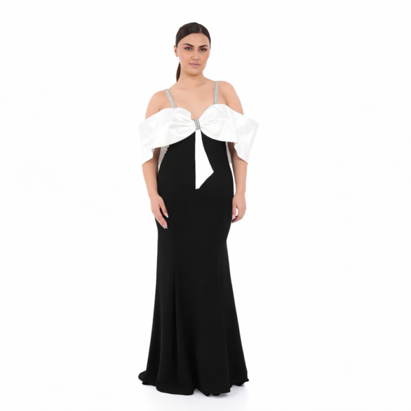 Robe Majestia longue de soirée bicolore chic